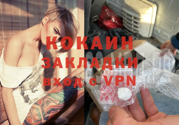 спайс Богданович