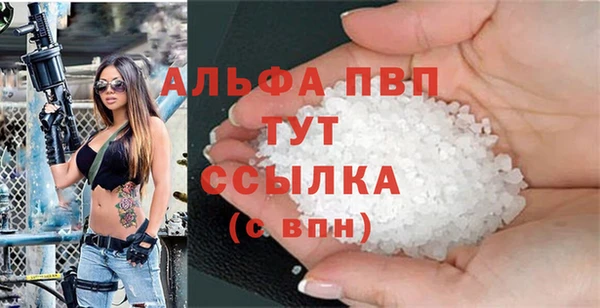 спайс Богданович